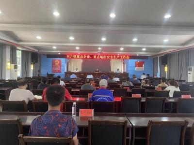 石首市东升镇召开学习贯彻党的二十届三中全会精神会议