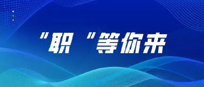 石首市2024年高校毕业生等青年就业专场招聘会（四）