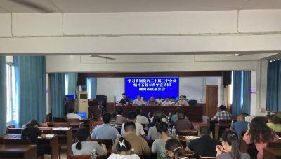 学习贯彻党的二十届三中全会精神石首市青年宣讲团横沟市镇报告会召开