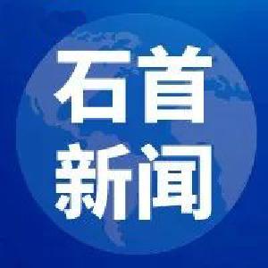 付勇调研大垸镇村党组织书记后备力量培育储备暨“群腐”整治工作开展情况