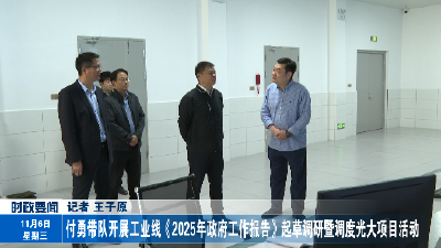 付勇带队开展工业线《2025年政府工作报告》起草调研暨调度光大项目活动